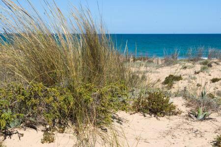 Casa Felipa, Una Estancia Unica En La Costa Blanca Guardamar del Segura Zewnętrze zdjęcie