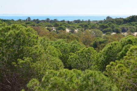 Casa Felipa, Una Estancia Unica En La Costa Blanca Guardamar del Segura Zewnętrze zdjęcie